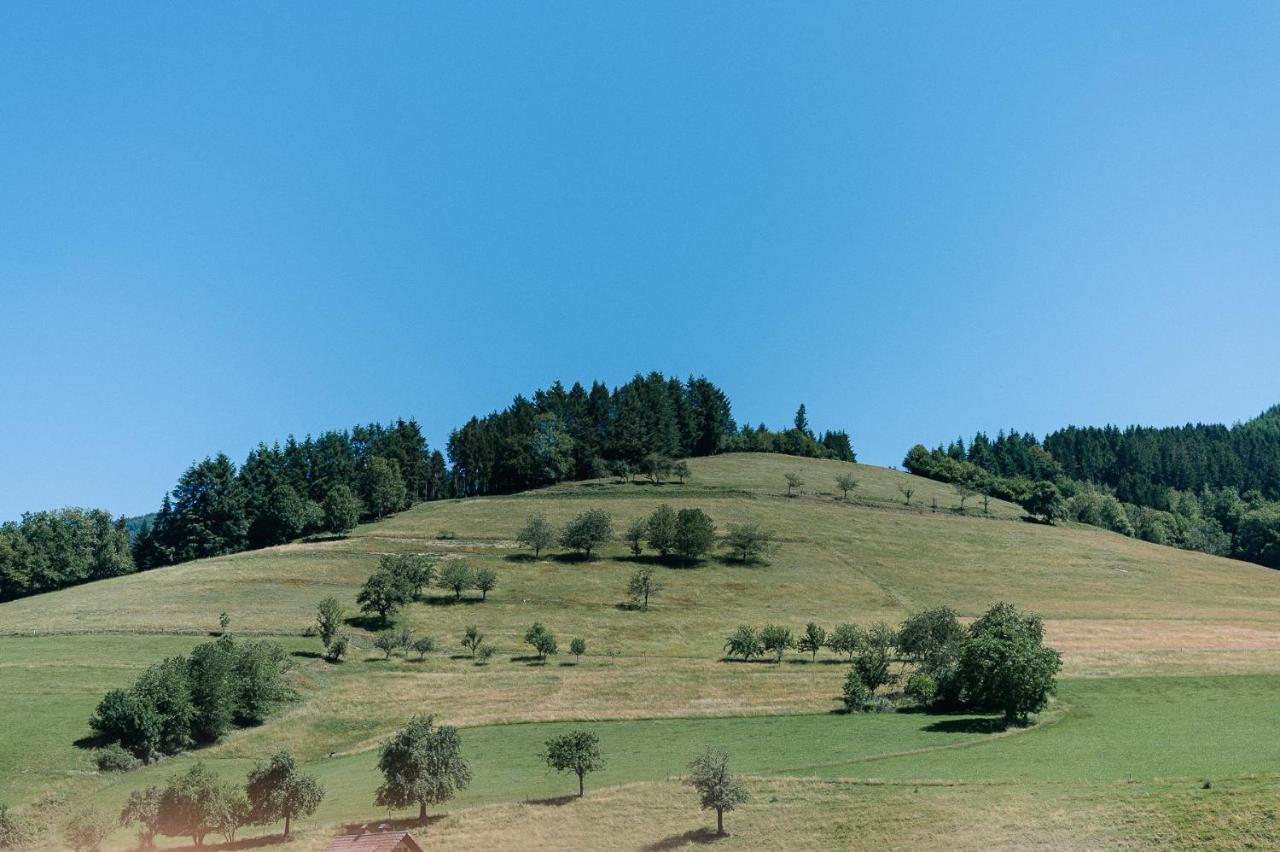 Moderne 2 Zi.Fewo Blackforest Art Naehe Freiburg Simonswald Bagian luar foto